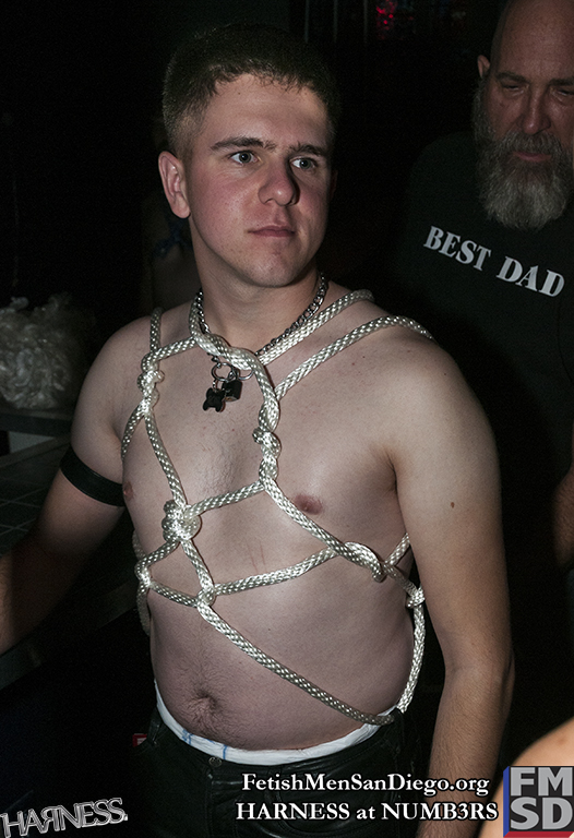 FMSD - HARNESS - DSC_0249.jpg